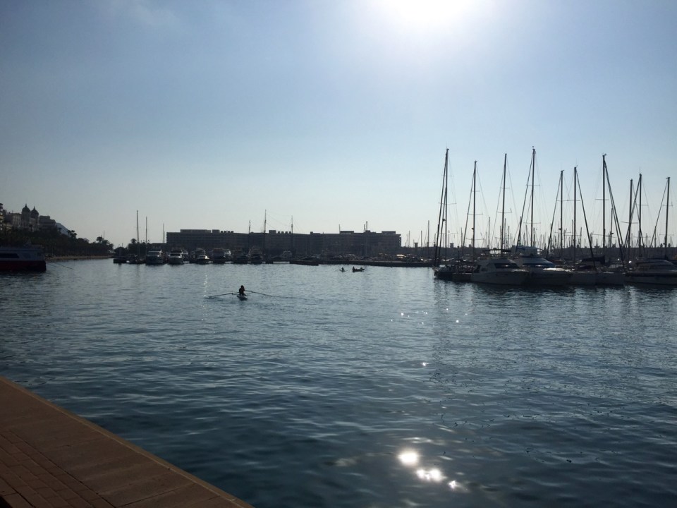 Morning rowers out in Alicante harbour