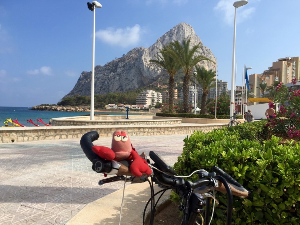 Lobster soaking up some rays