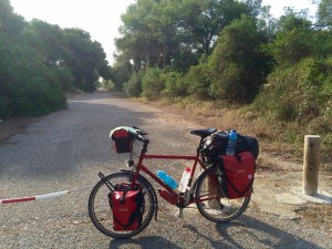 On route to Valencia; lots of trees!