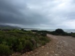 Trail runs close to the sea, light drizzle keeping things cool