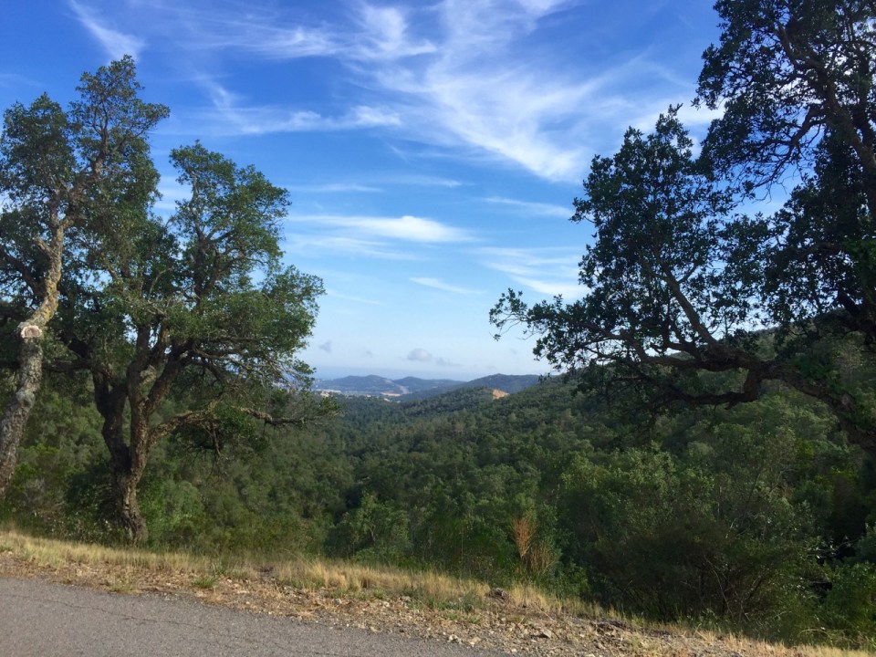 View back own towards the coast, Calonge