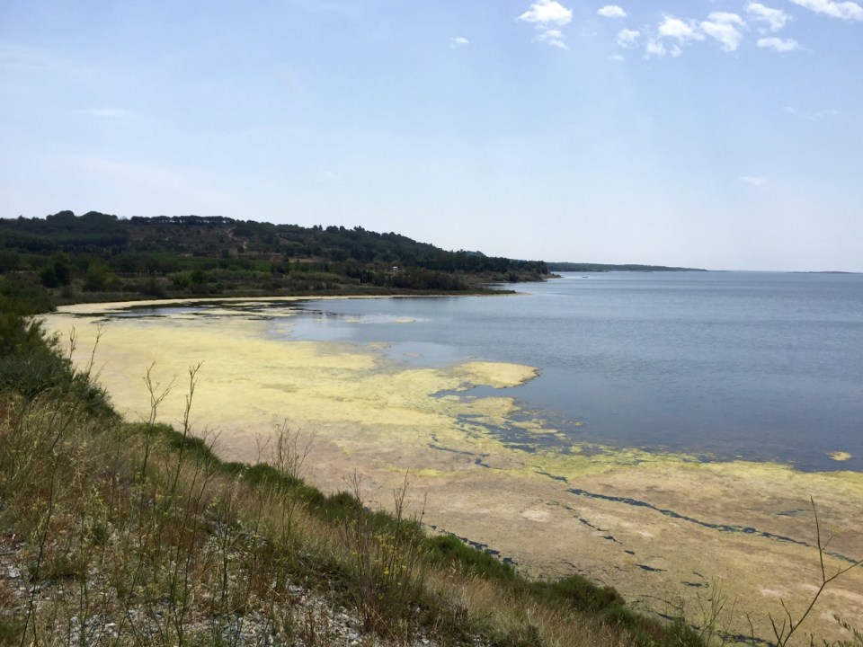 Yellow algal blooms on lakes near Leucate
