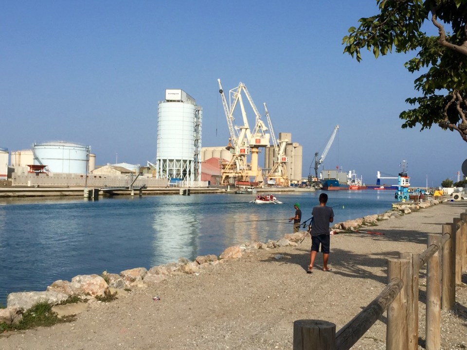 Port-la-Nouvelle - busy port