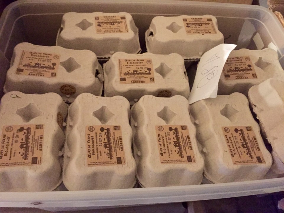 Eggs boxed and ready for market