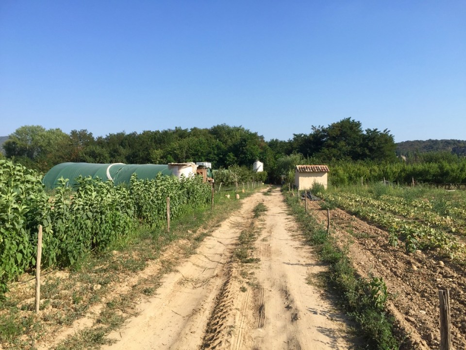 Arriving at the farm to help out for the afternoon