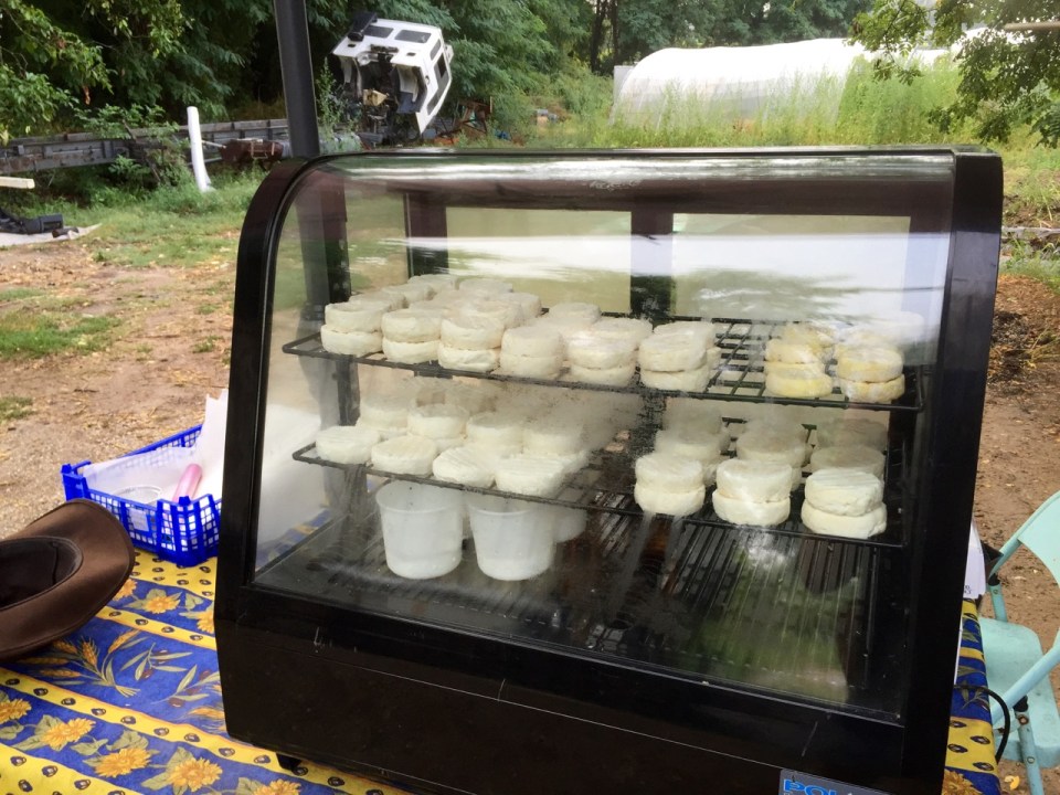 Goat's cheese, produced by Chris' Dad