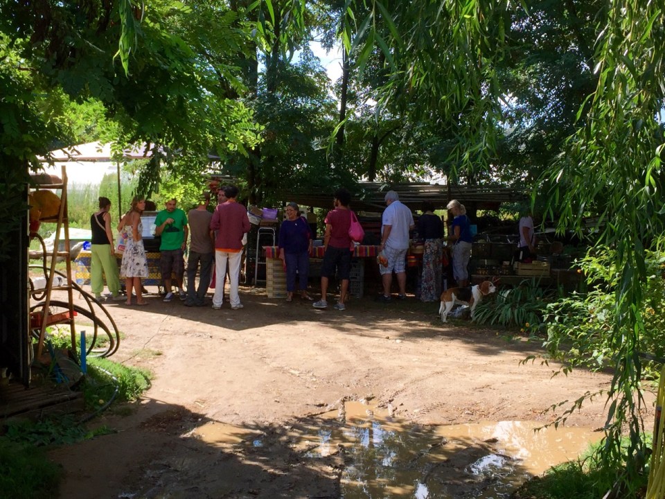 Market in full swing