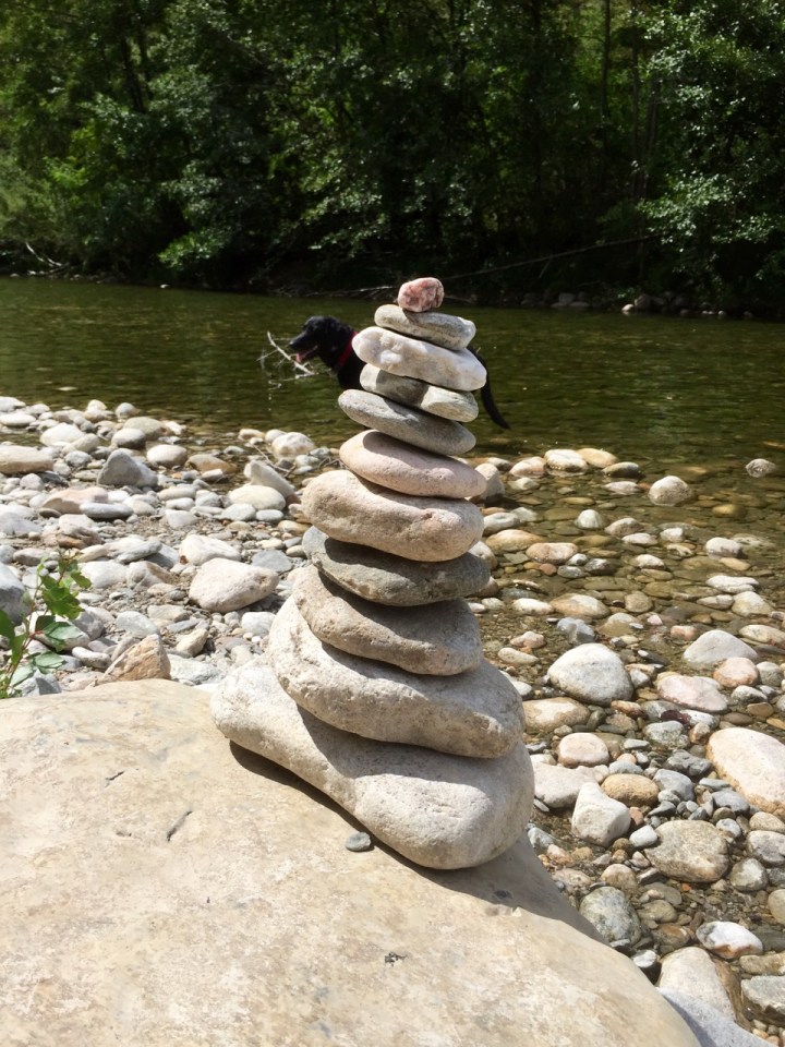 Tina the dog photo bombed my attempt at an arty shot