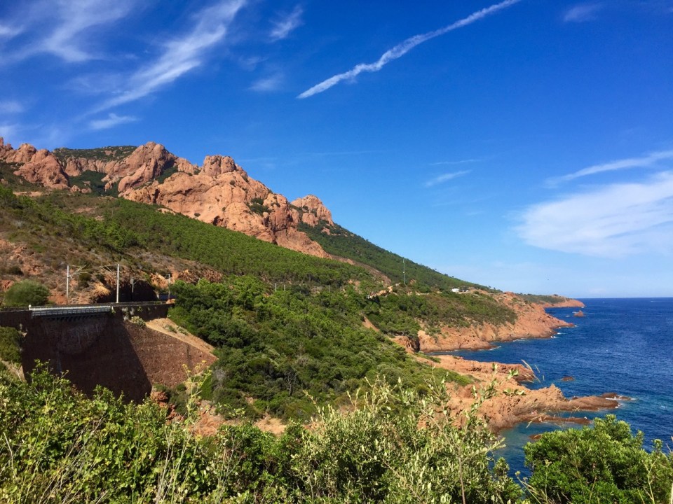 In the Forêt Domaniale de l' Estérel