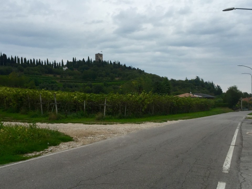 Vineyards and hills appear near Medole