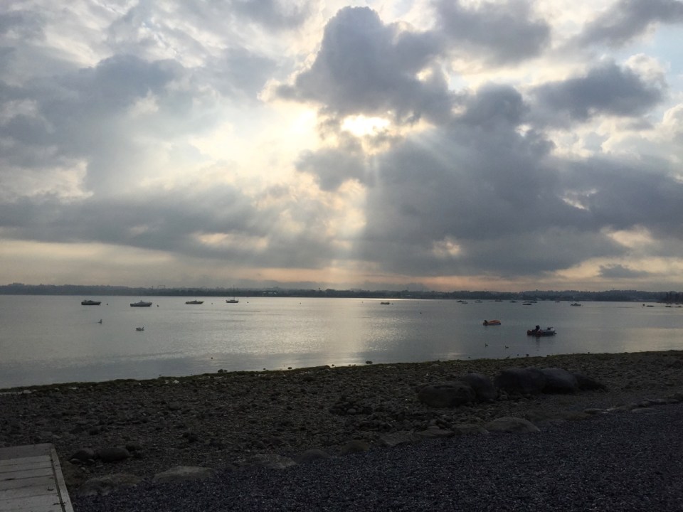 Morning Lake Garda - swans feeding