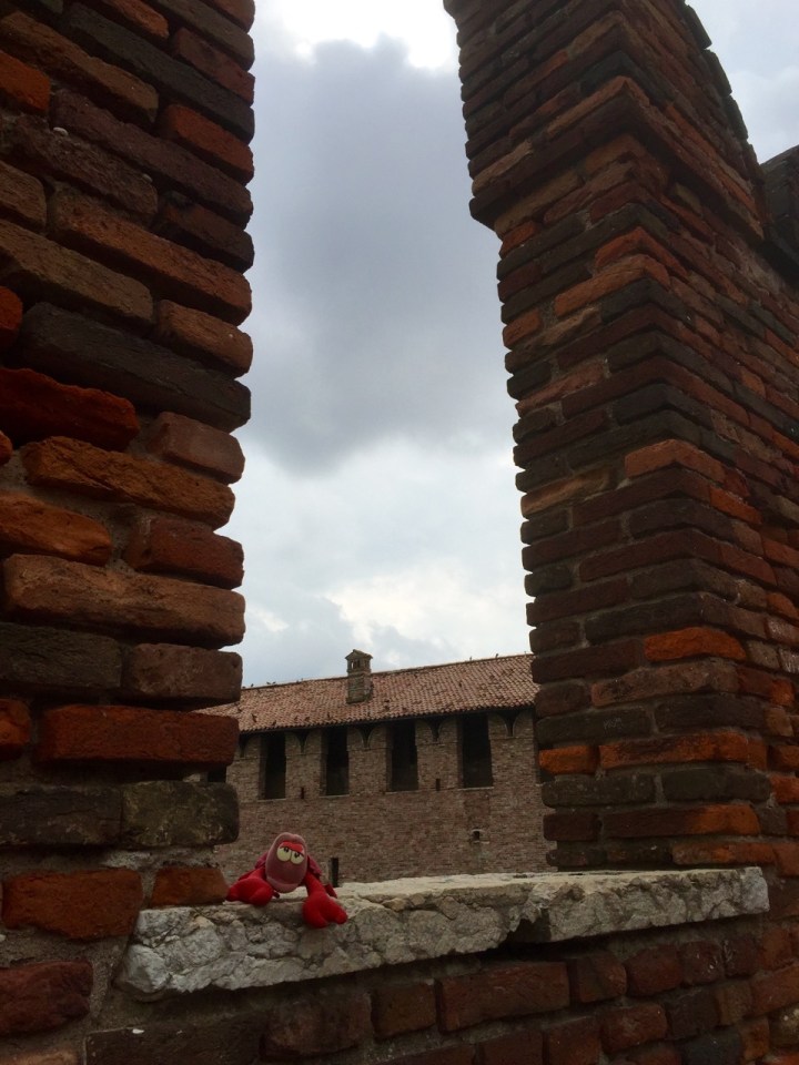 Lobster trying to blend in with brickwork