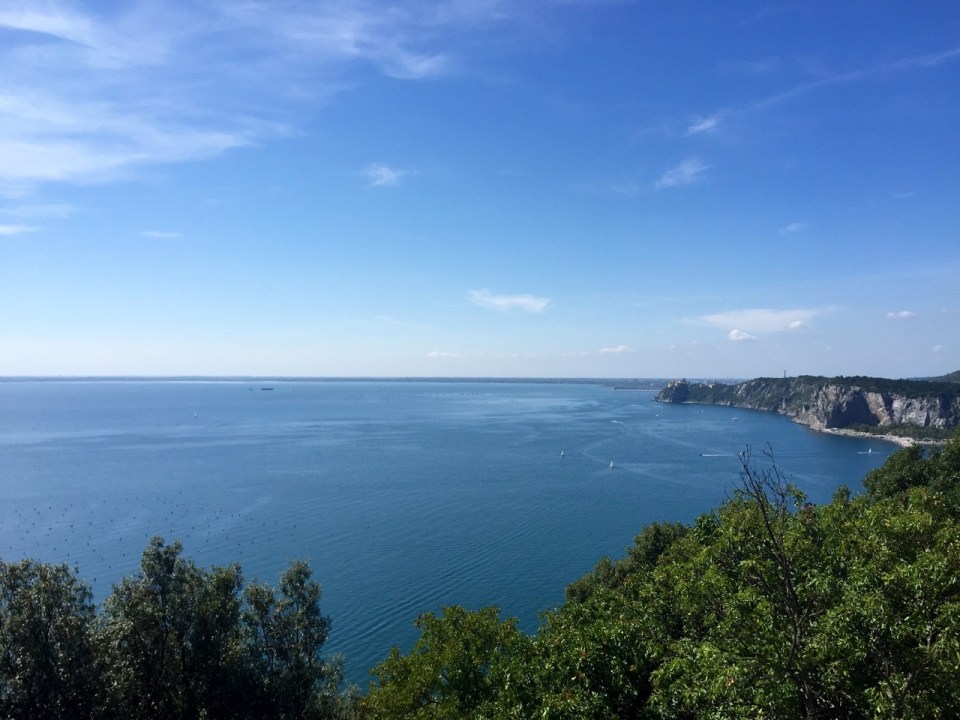 Adriatic sea looking inviting; it was a tad on the hot side