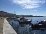 Porto di Trieste