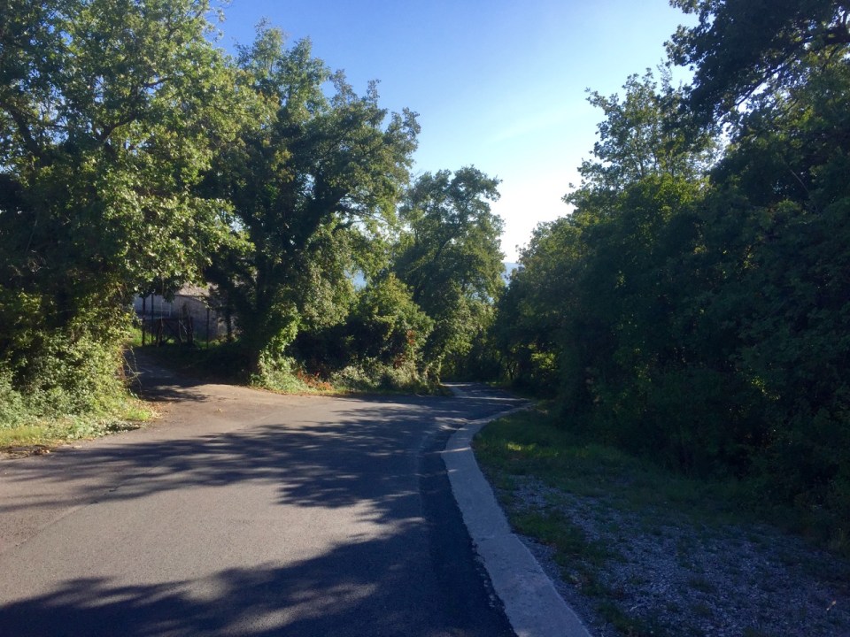 Road down to Ankaran, Slovenia