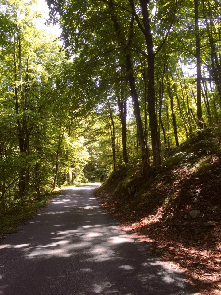 Although still the odd uphill section on narrow, cosy roads