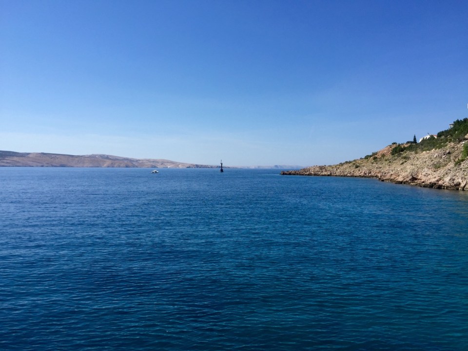 Prizna, there were lots of fish swimming about