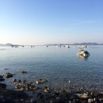 Morning swim anyone? Watch out for the sea urchins!