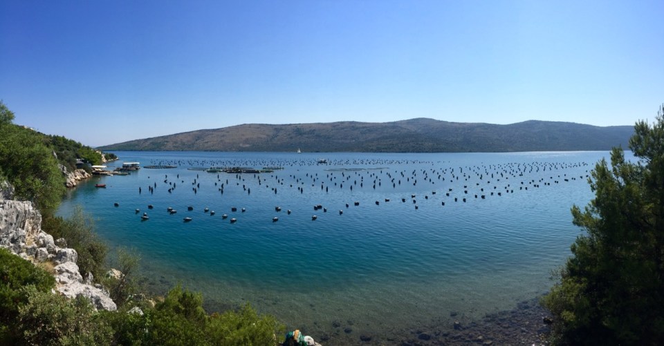 Marina panorama - fishing activity