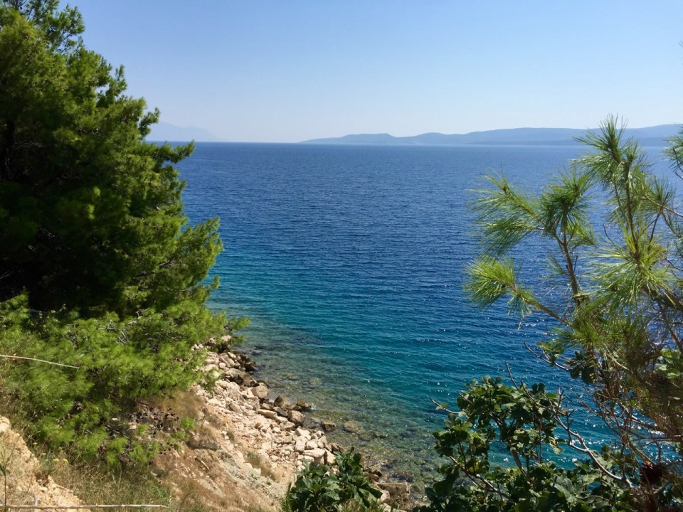 Banana break next to another inviting bit of sea