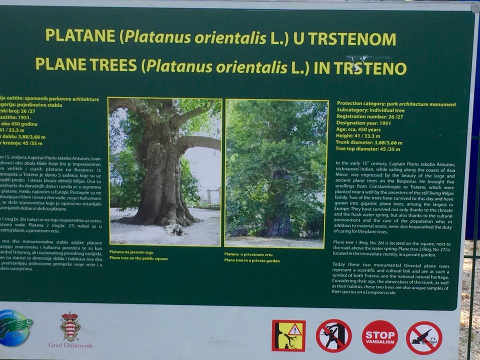 Sign explaining Plane Trees