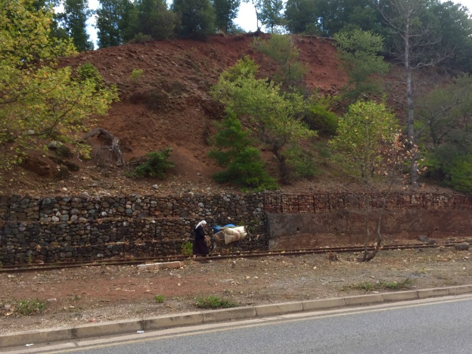Donkey transport up the hill, following old train track