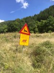 Bear warning sign; wild camping could be risky