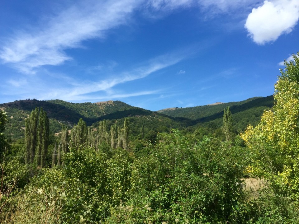 Tree covered hills and not a lot else on the way up
