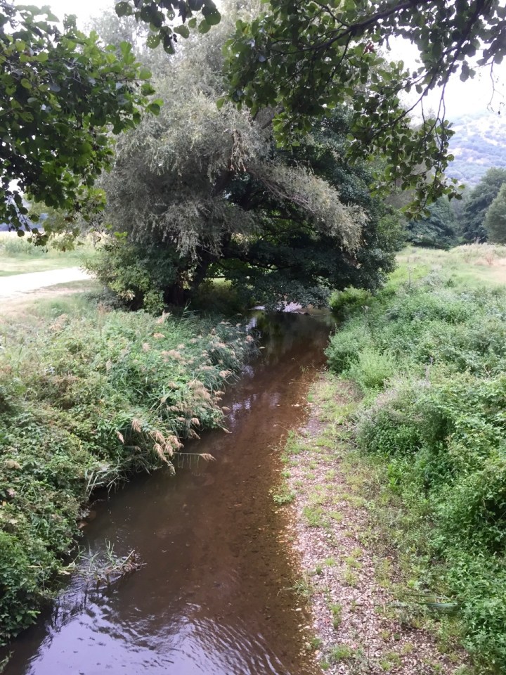 Picnic spot near wolf sanctuary (Aetos)
