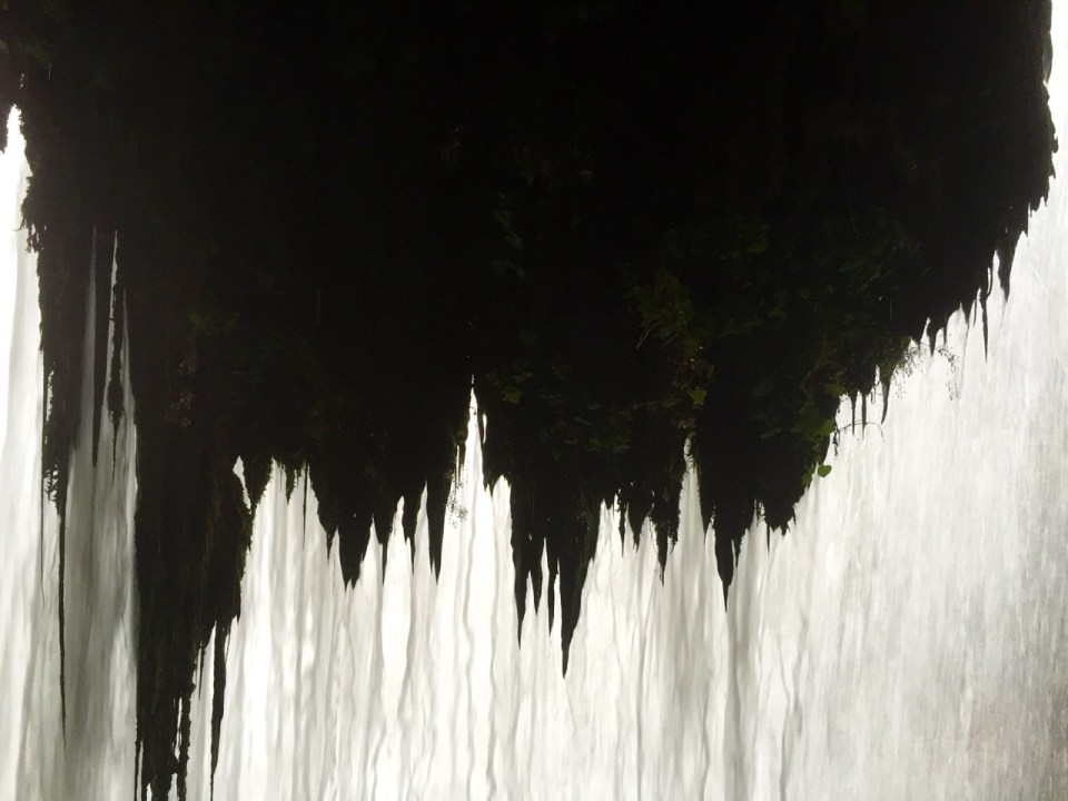 Behind the waterfall - looks like a beard
