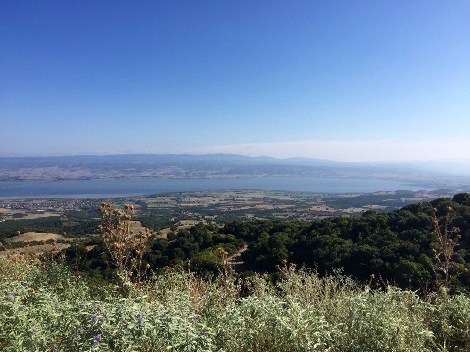 Made it up the hill, despite the dogs