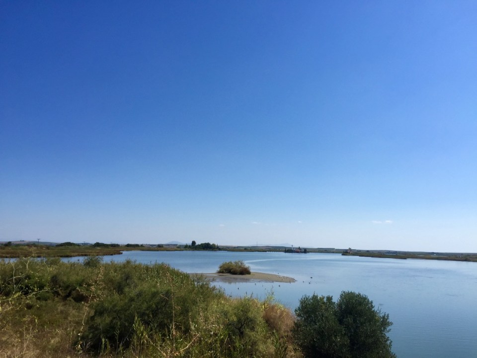 Pedalling through a nature reserve near Xanthi