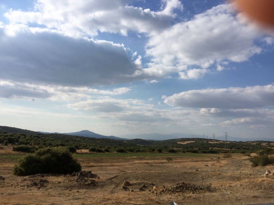 Lovely and quiet away from the busy main road