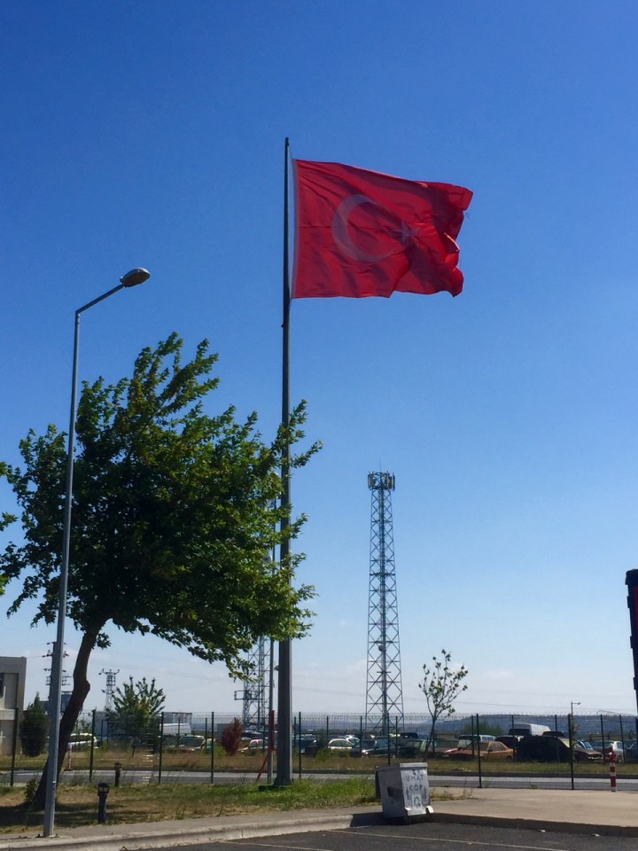 Many large Turkish flags flying