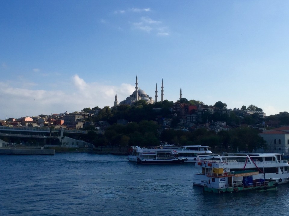 Istanbul must have 100's of Mosques - the Süleymaniye Mosque is very impressive