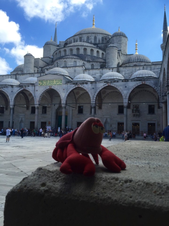 Lobster posing in front of Mosque
