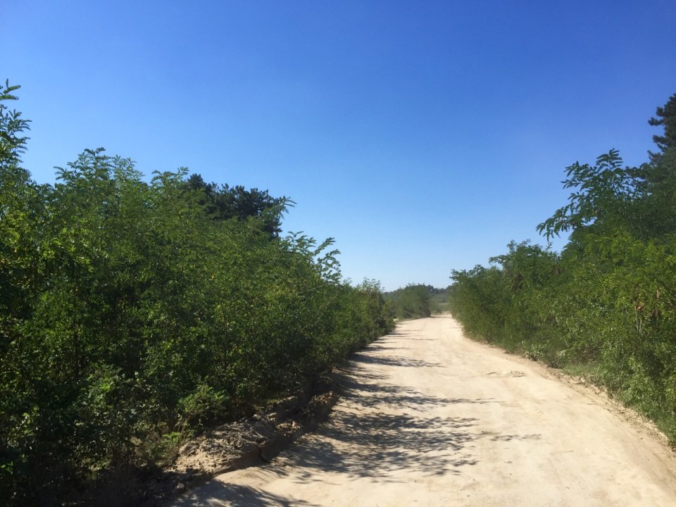 Some off-road action as route 8 goes a bit awry