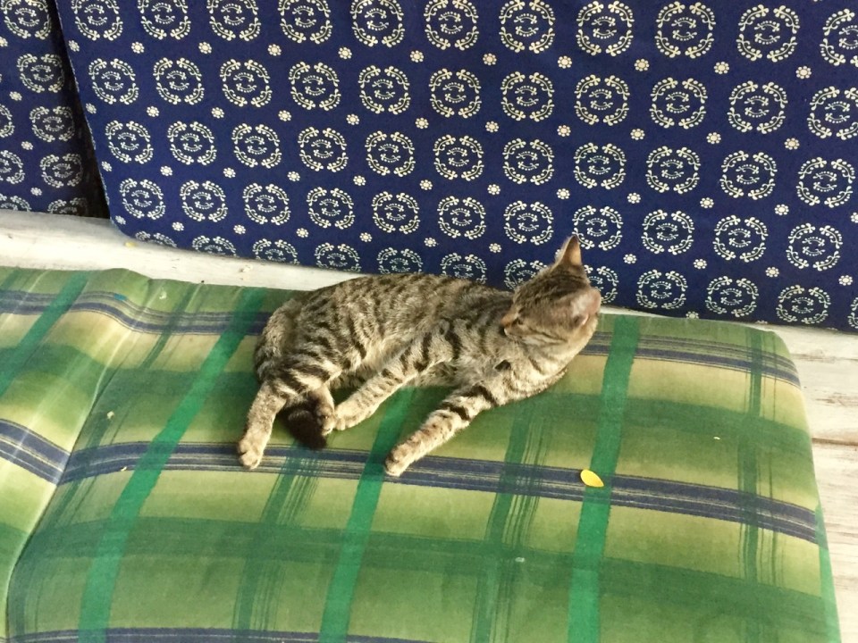 I wasn't the only one up early