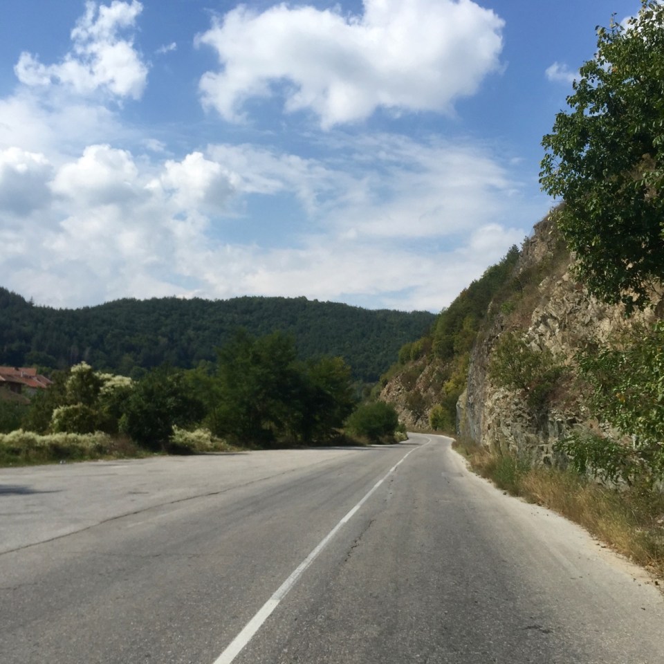 Some nice forest and not much traffic