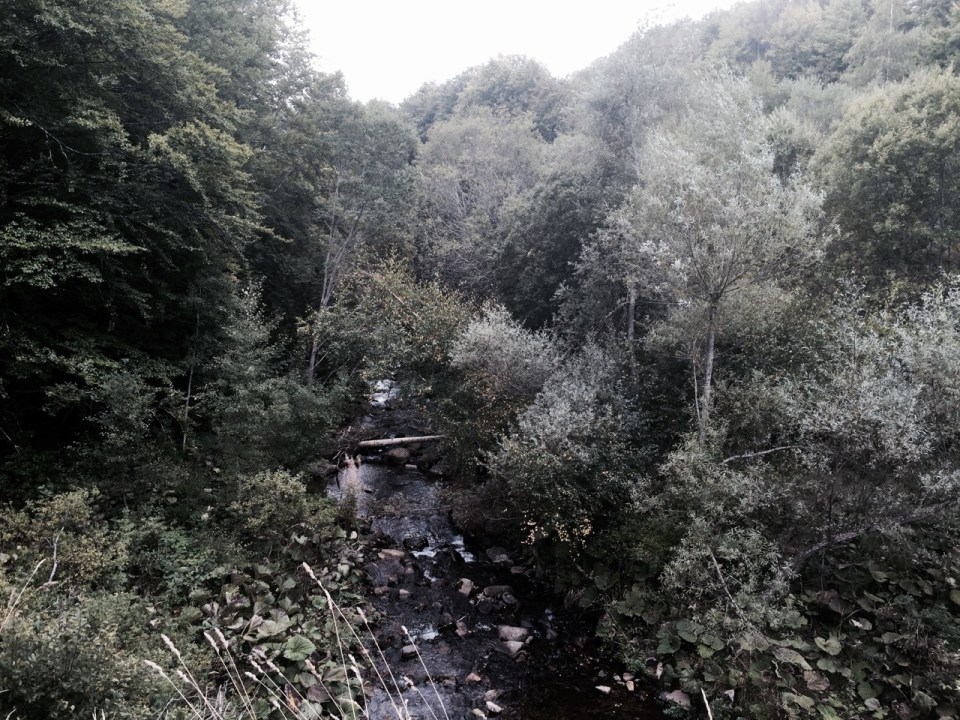 I pause to catch my breath over a stream