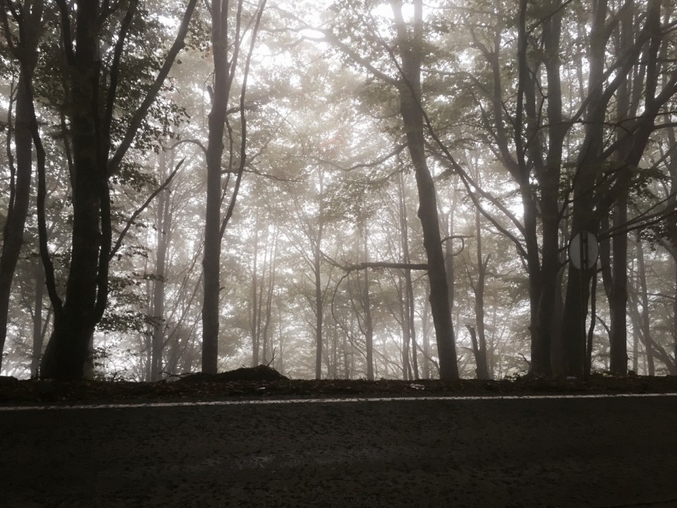 It's a bit cold and damp in parts though, and must be tricky in winter