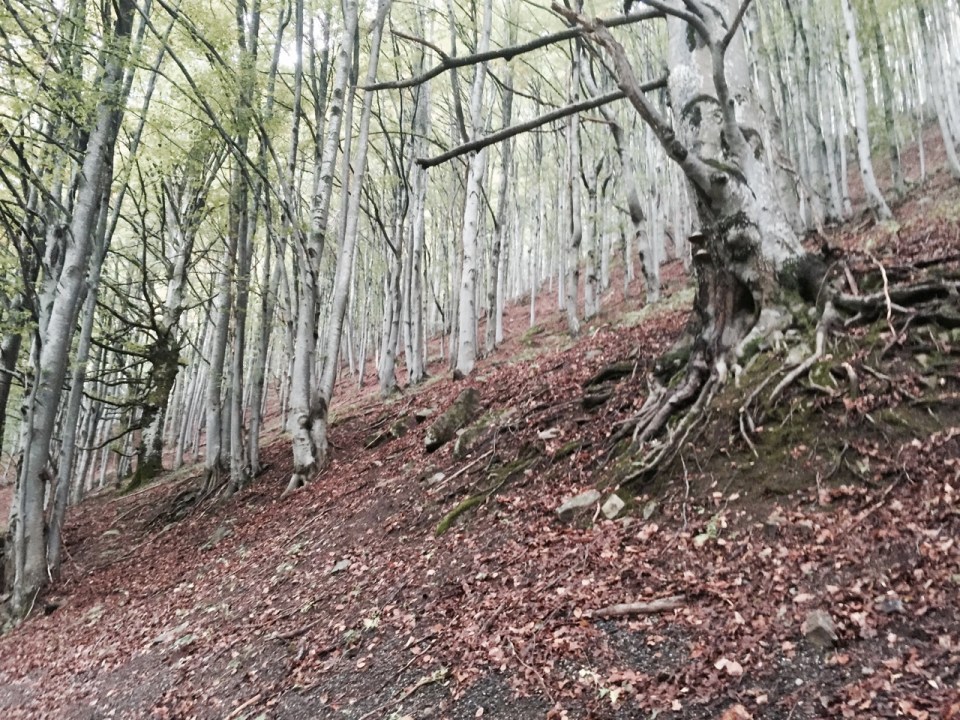 Out of the low cloud