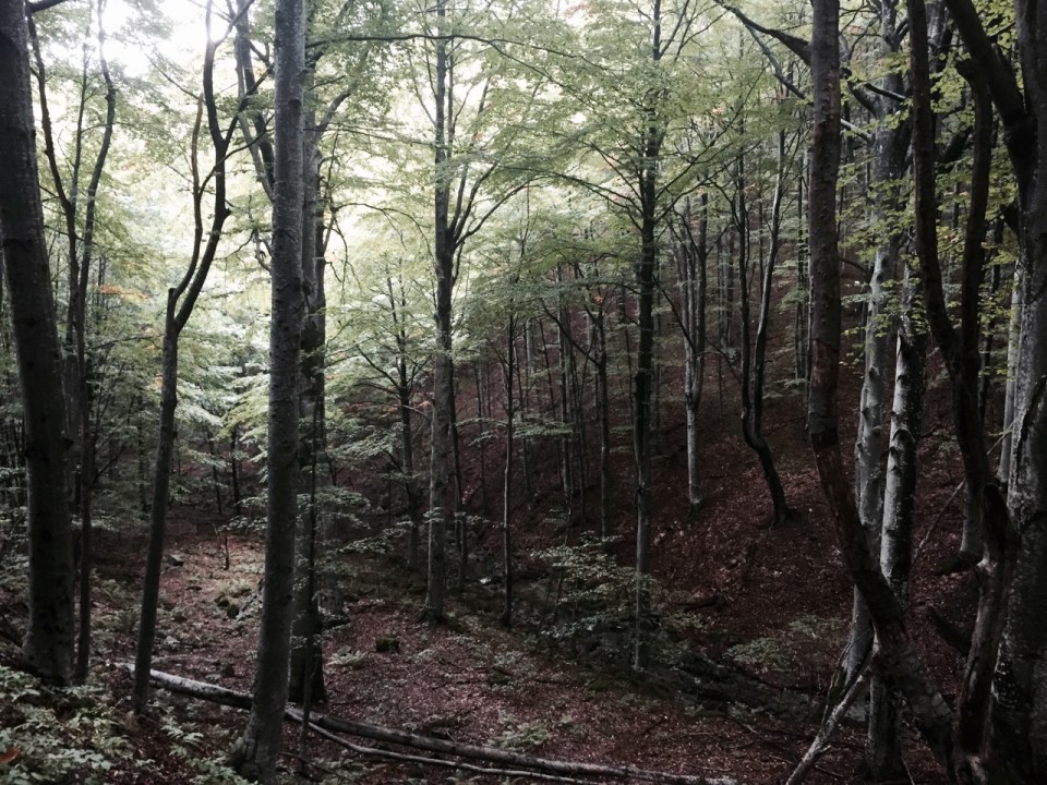 There are some great potential wild camping spots