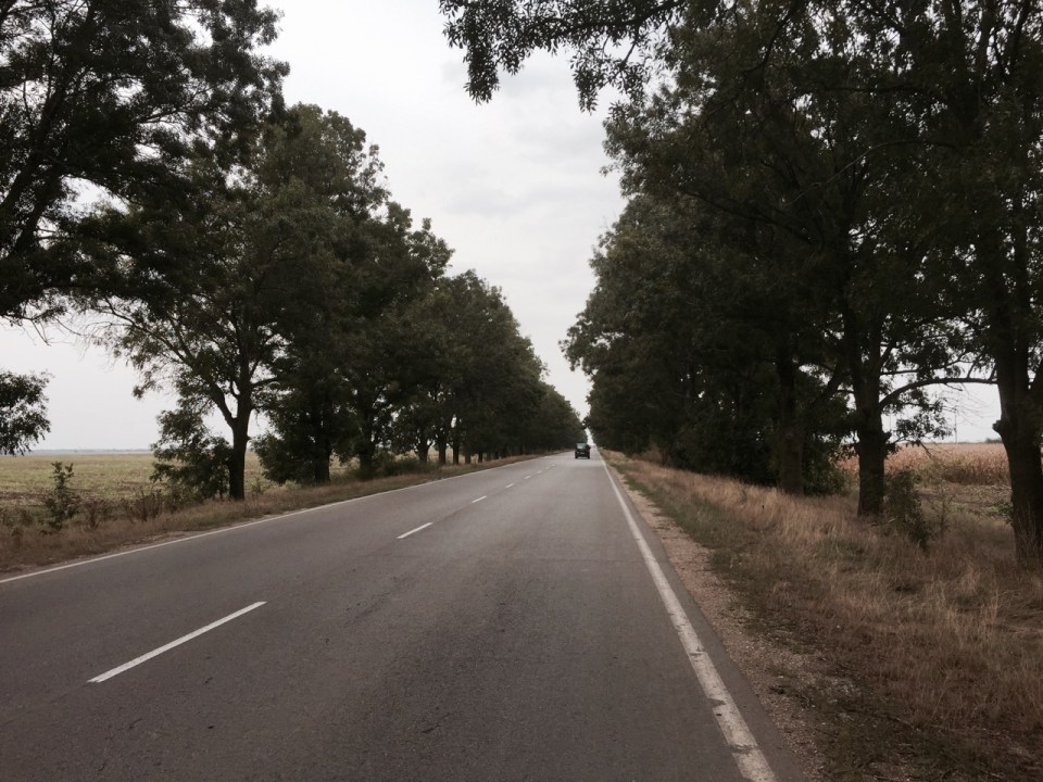 Road fairly quiet, this bit was near Lom