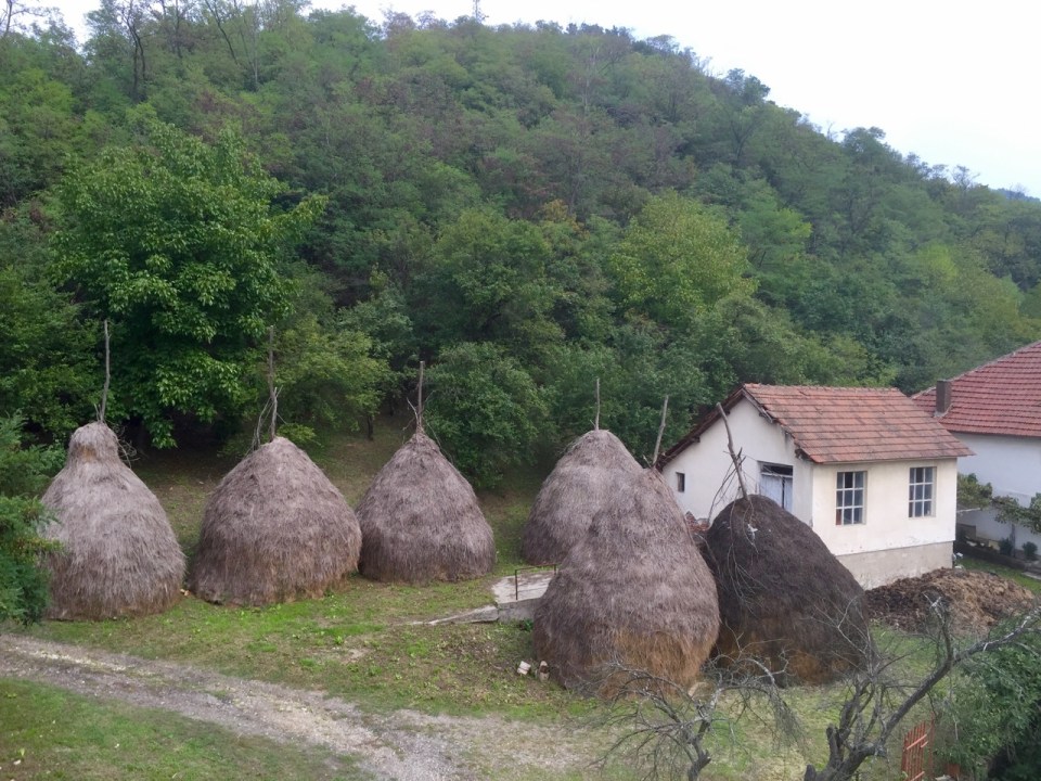 Small farmsteads along the route, with neat haystacks