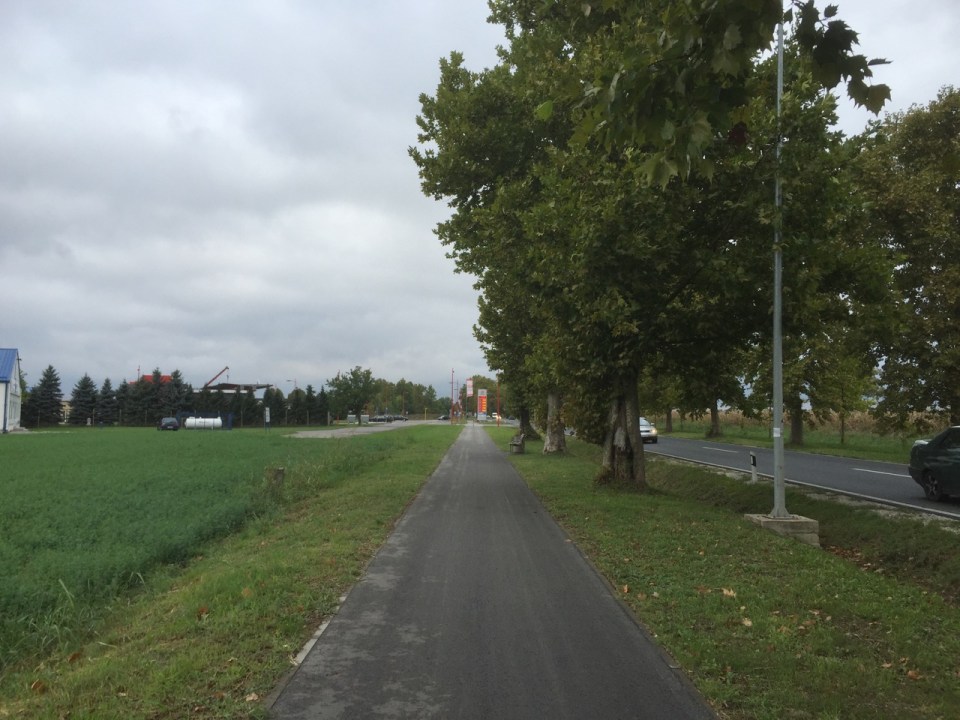 Bit of cycle path provides welcome relief from traffic