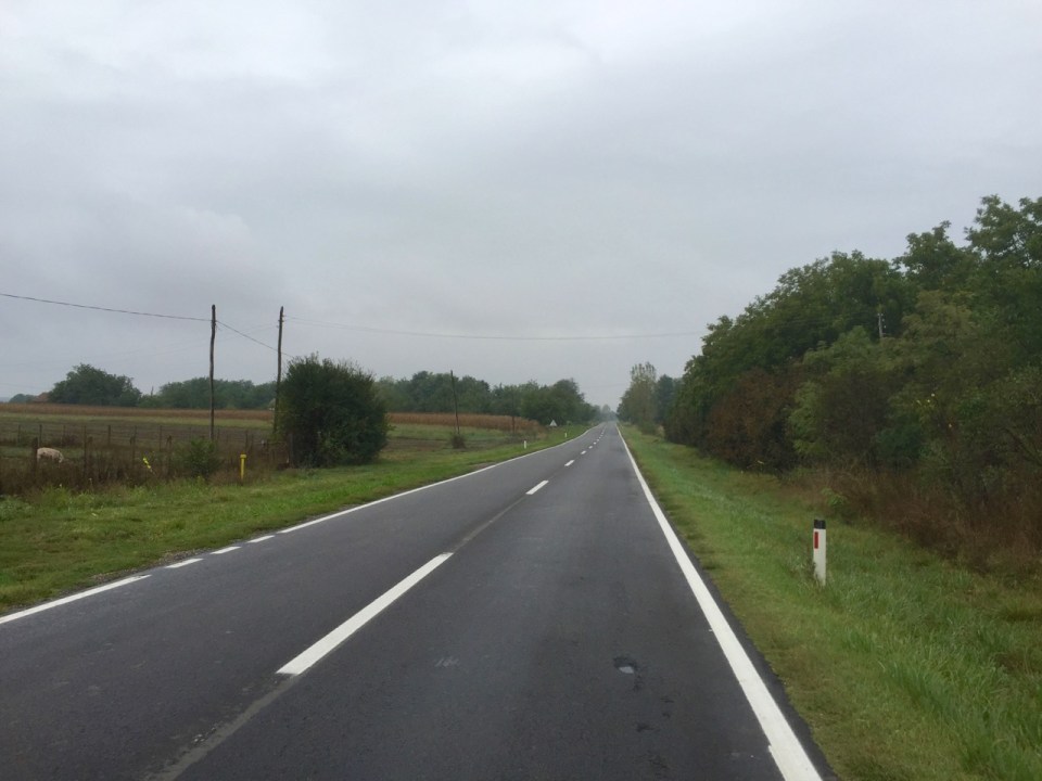 Another chilly and damp morning on the way to the Hungarian border