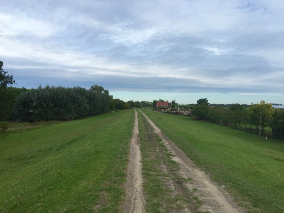 Trail runs along the top of a levee