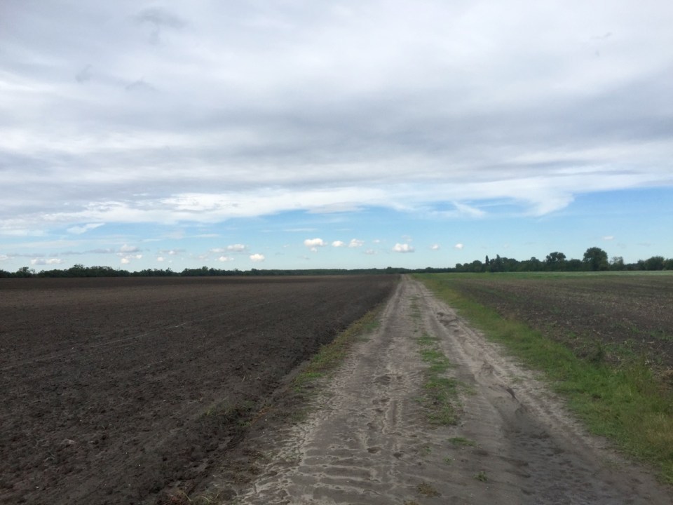 But I must have missed a sign somewhere - muddy farmers track ensues
