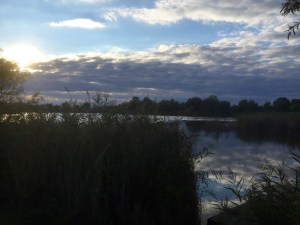 Everything beginning to look a bit autumnal